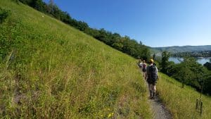 Zustieg zum Mittelrhein Klettersteig